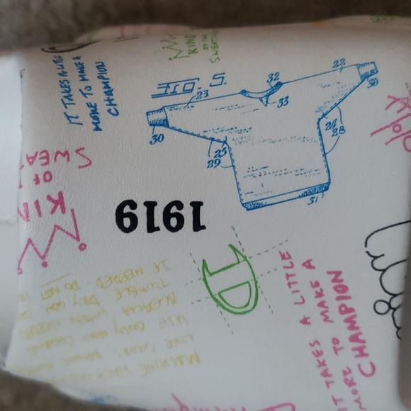 Champion slides - Picture 11 of 12